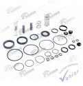 Kit De ReparaciÃ³n Para  Unidad De Control De TransmisiÃ³n Volvo 0501 211 290 S1